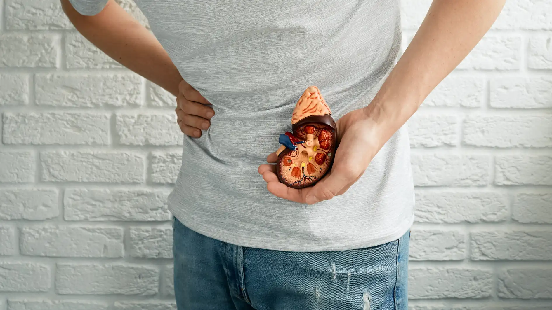 Turnitin Enroll Class