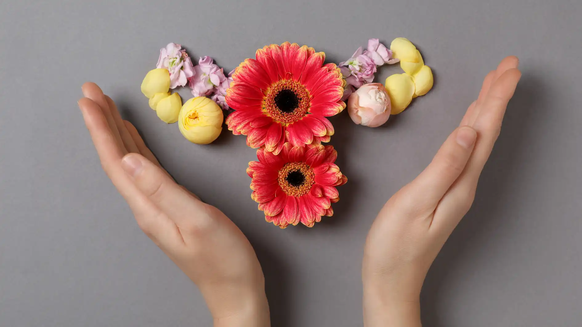 Organ Reproduksi Wanita